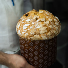Cargar imagen en el visor de la galería, Panettone

