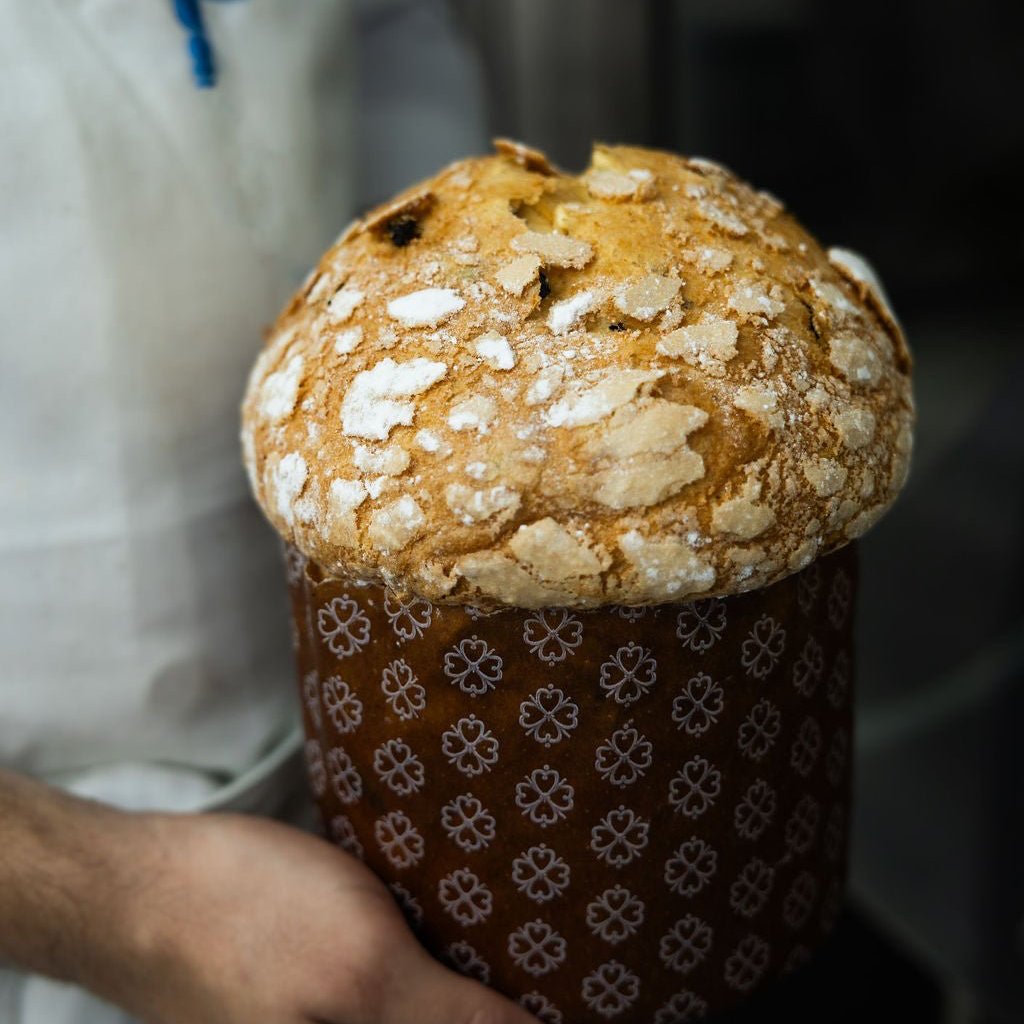 Panettone